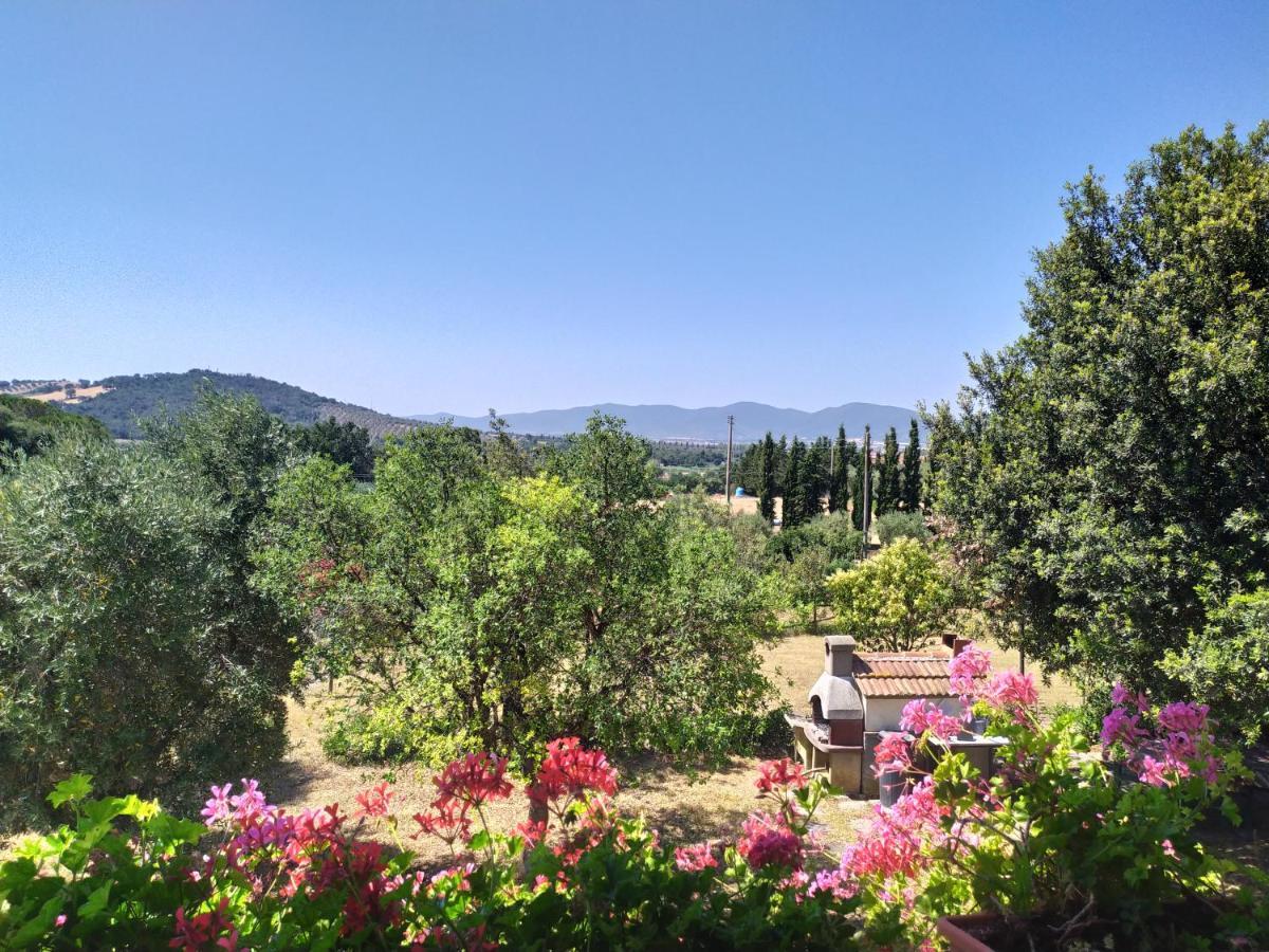 Agriturismo San Giorgino Grosseto Extérieur photo